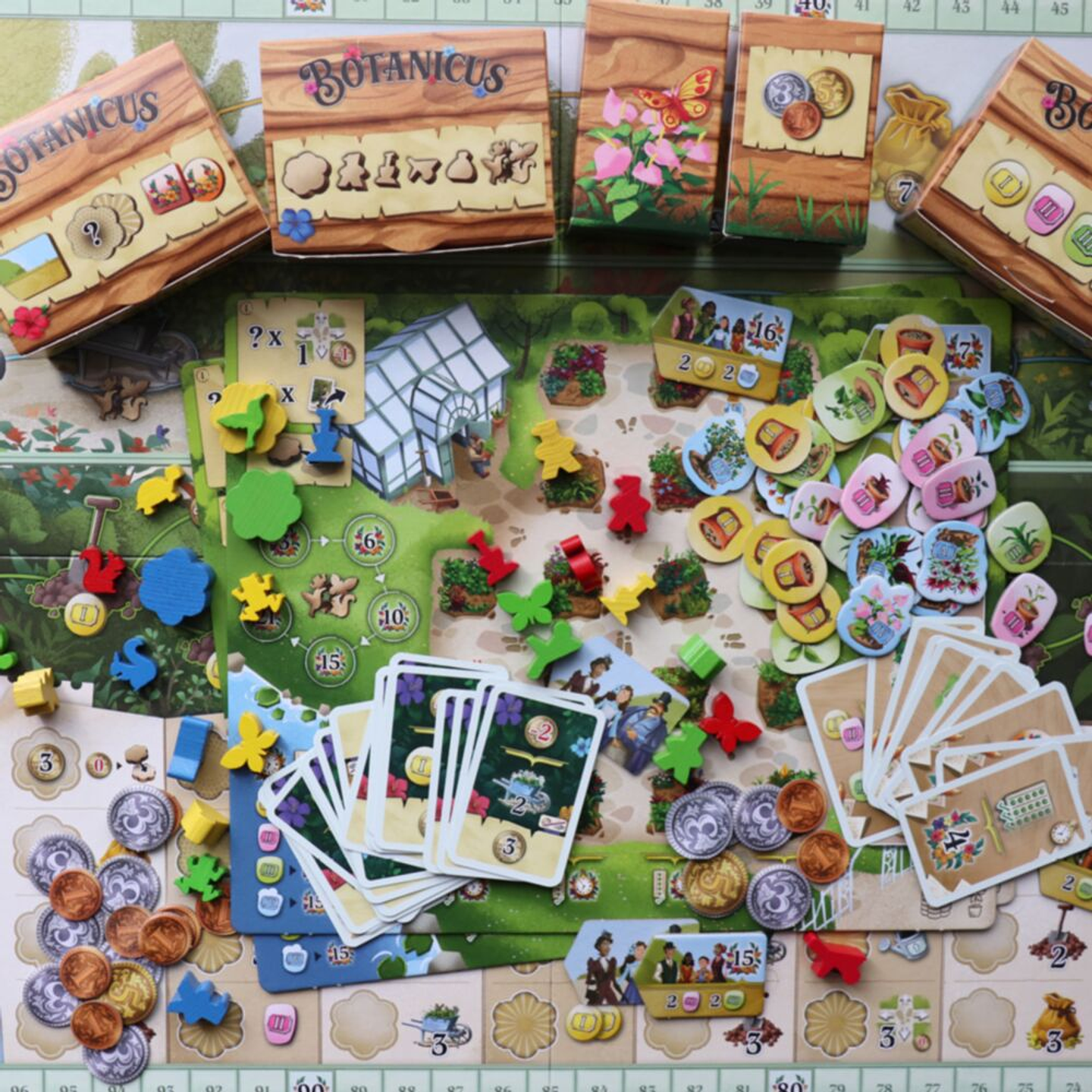 Botanicus juego de mesa 2
