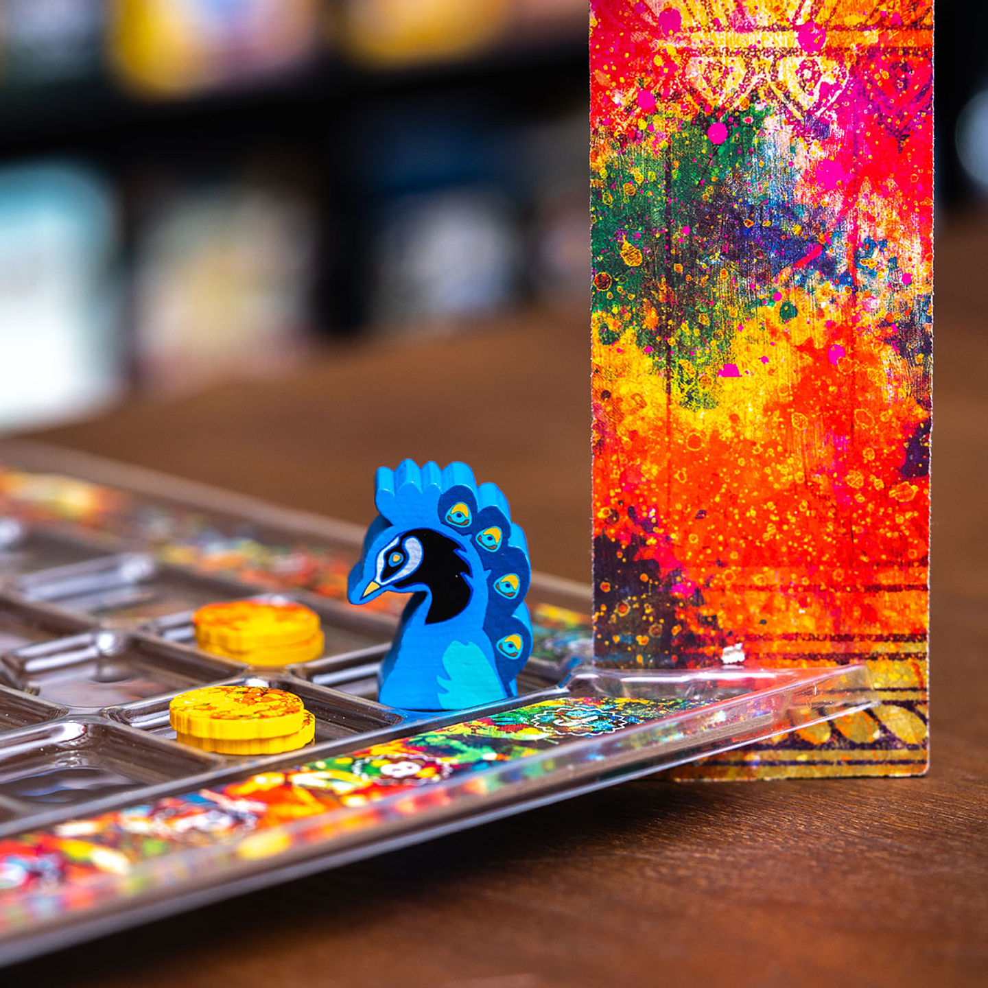 Holi Festival of Colors 4