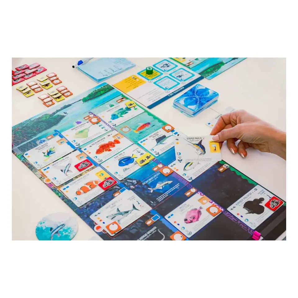 Finspan (Español) Juego de Mesa  3