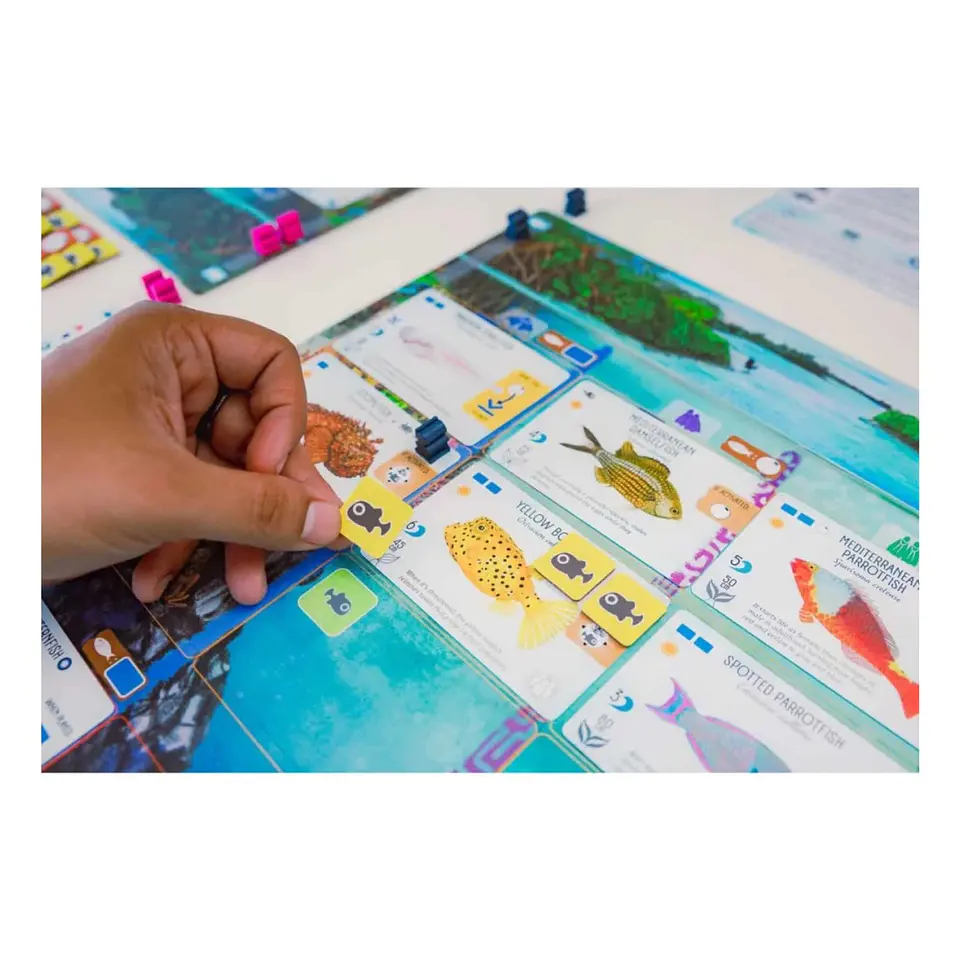 Finspan (Español) Juego de Mesa  4