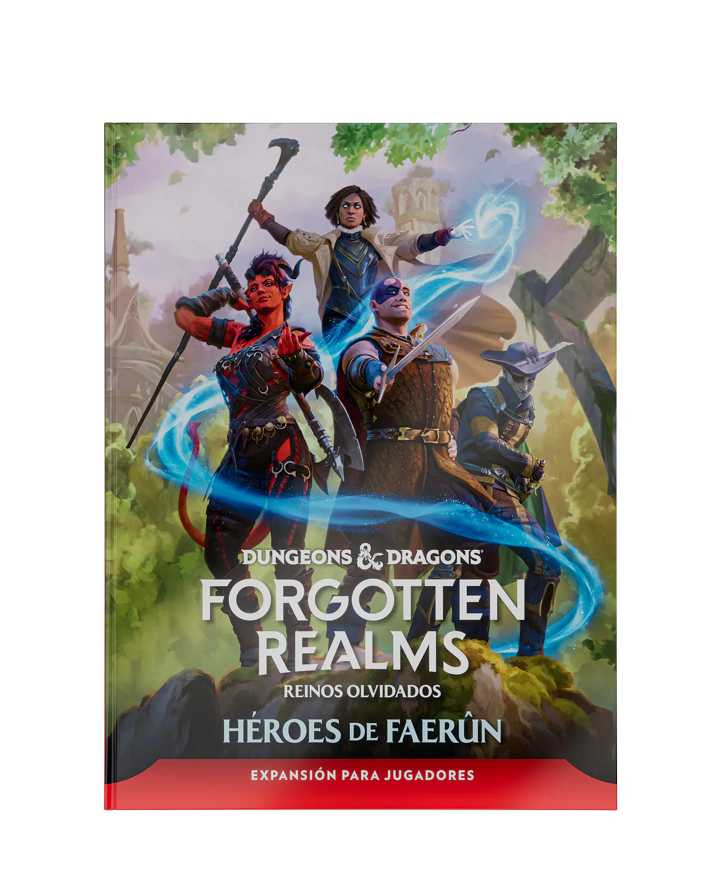 D&D Forgotten Realms: Heroes of Faerûn 1
