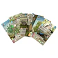 Forest Shuffle: Dartmoor – Juego de Mesa - Miniatura 2