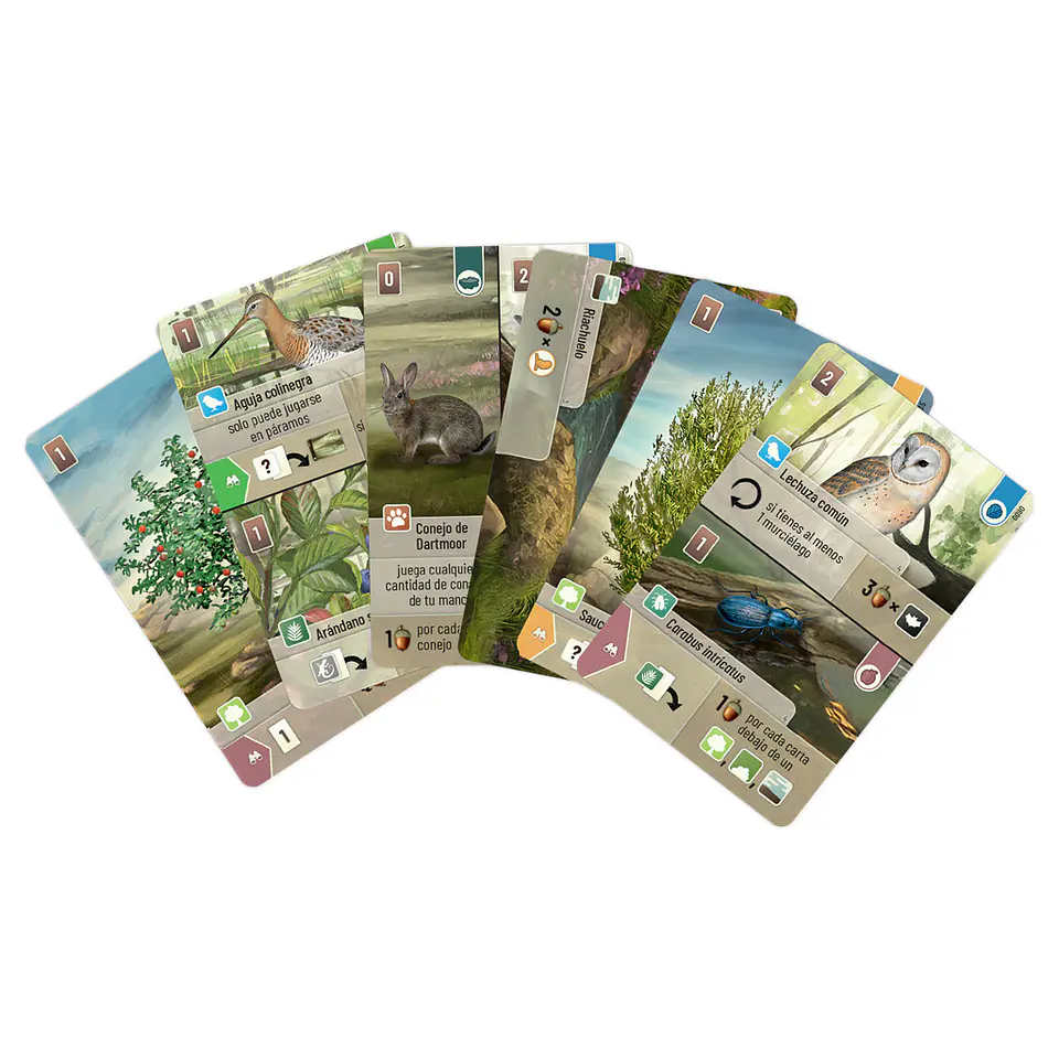 Forest Shuffle: Dartmoor – Juego de Mesa 2