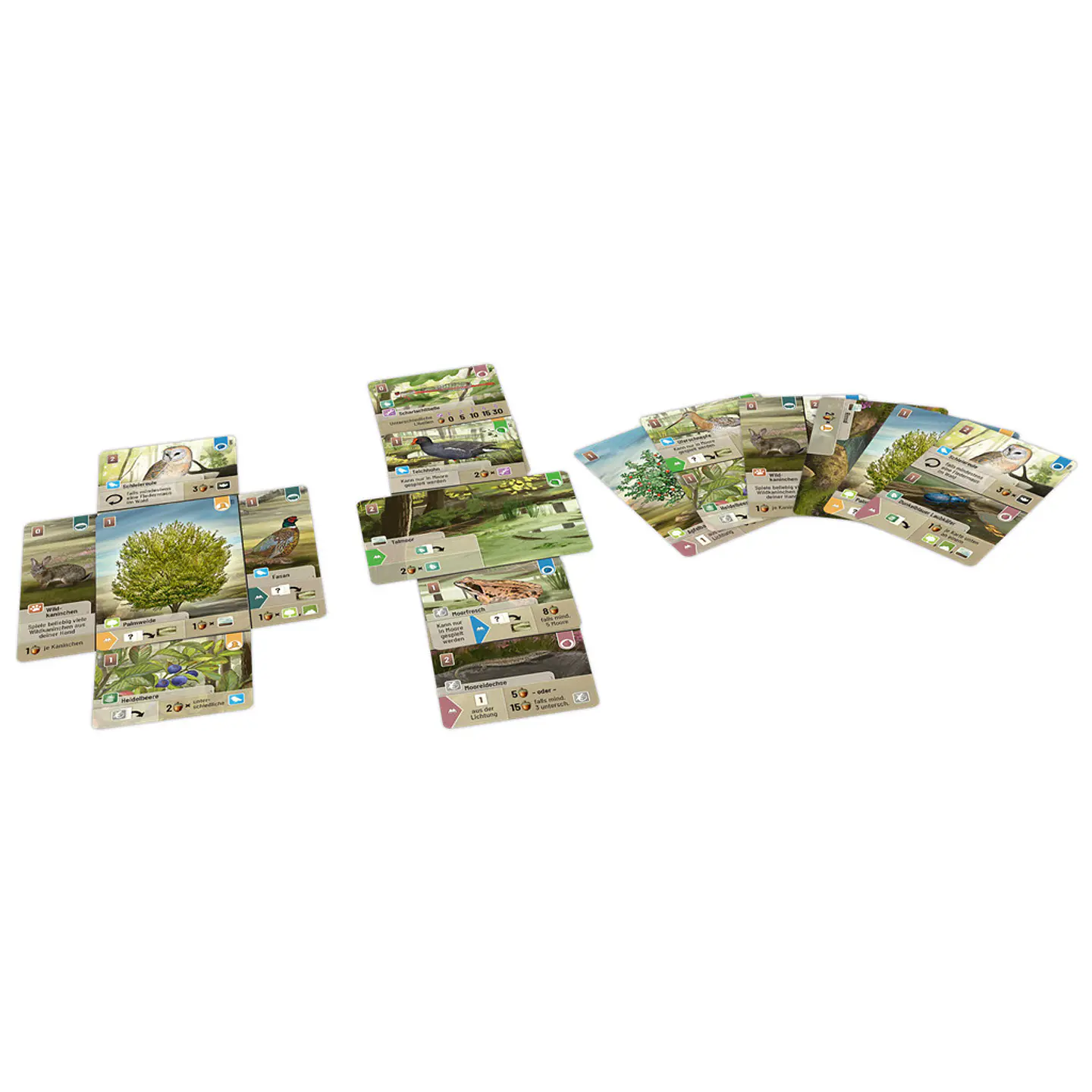 Forest Shuffle: Dartmoor – Juego de Mesa 3