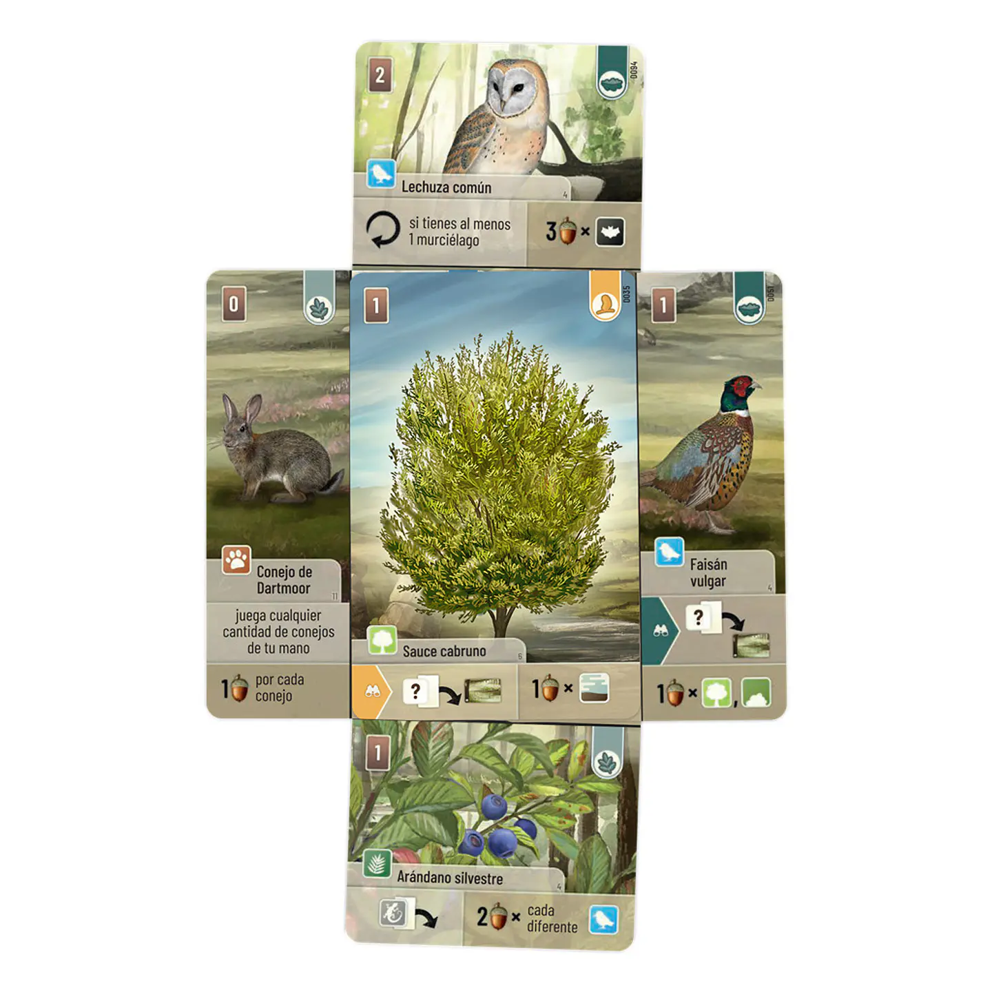 Forest Shuffle: Dartmoor – Juego de Mesa 4