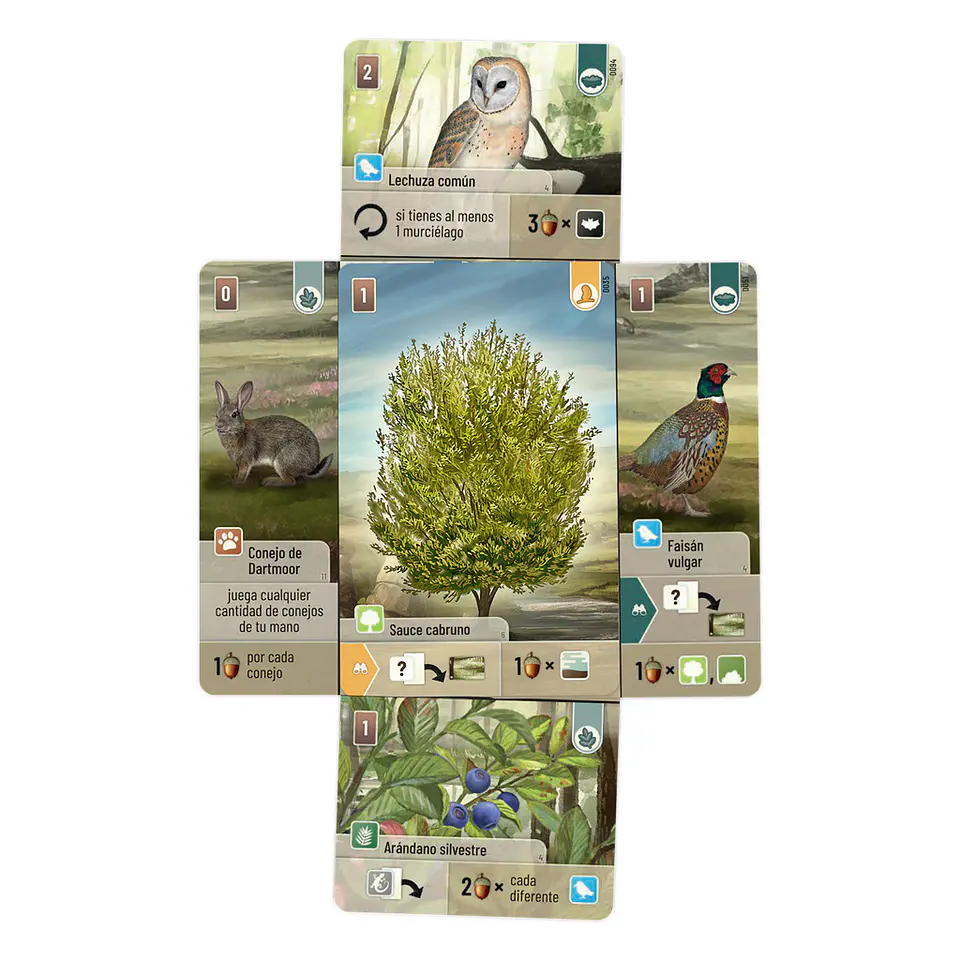 Forest Shuffle: Dartmoor – Juego de Mesa 4