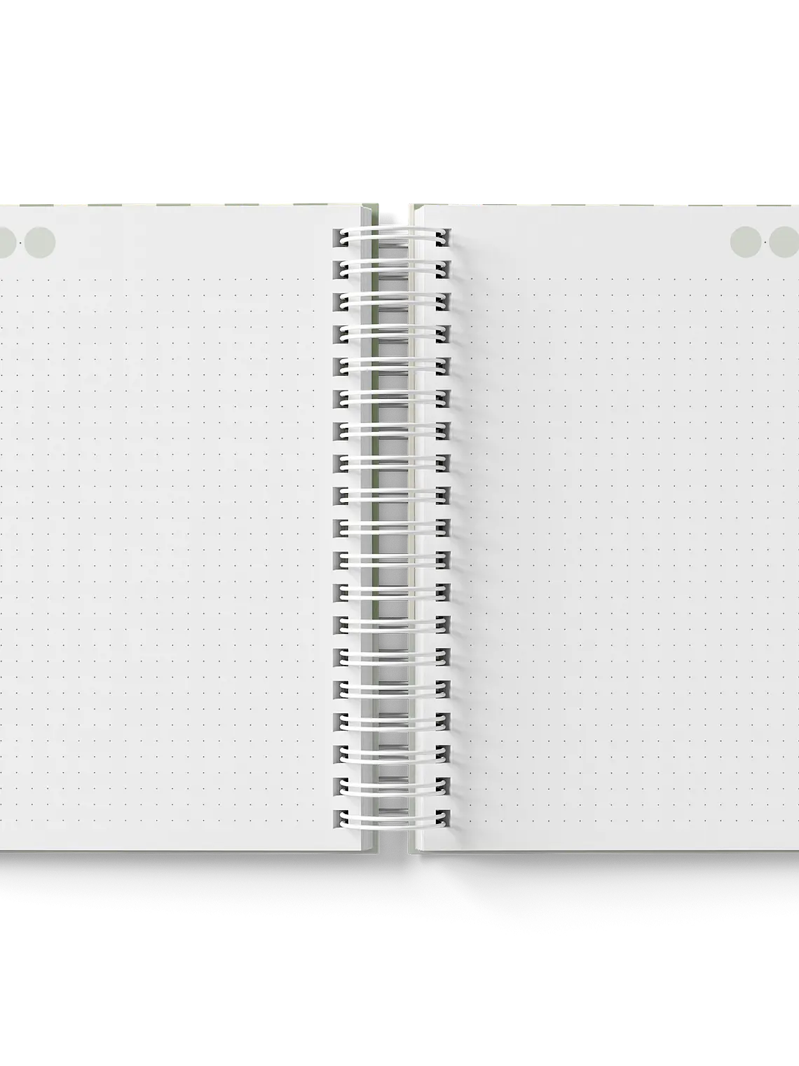 Caderno Daisy Notes verde 4