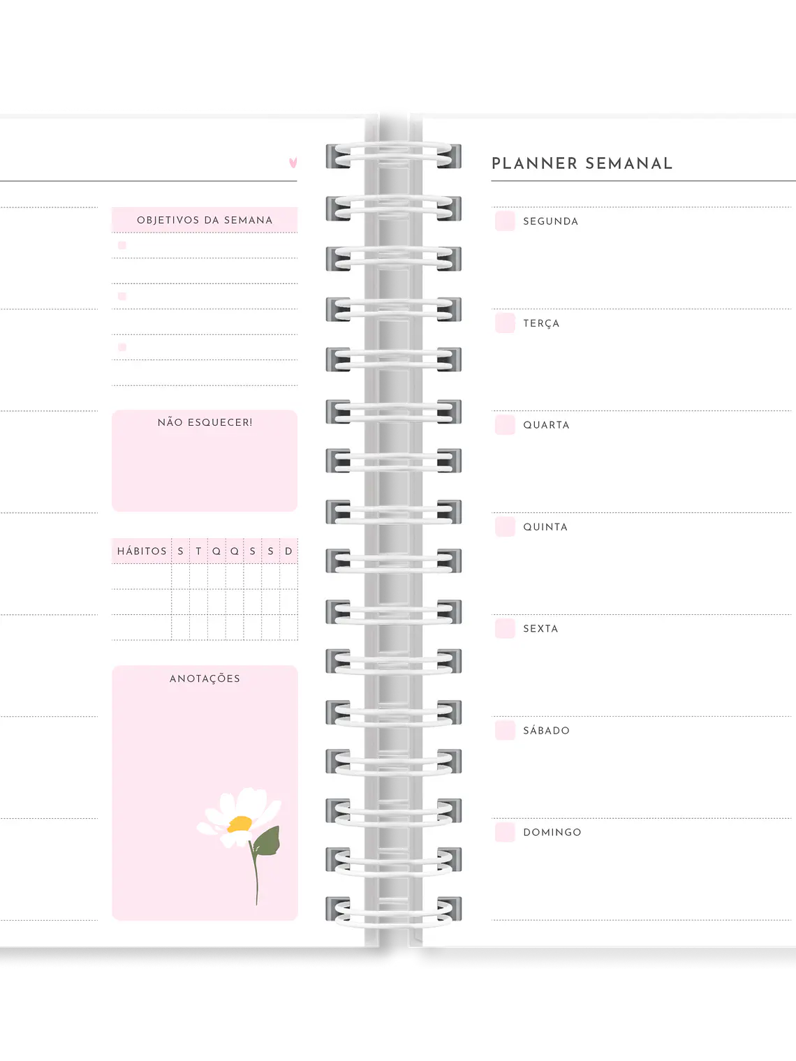 Planner Semanal Duetto 6