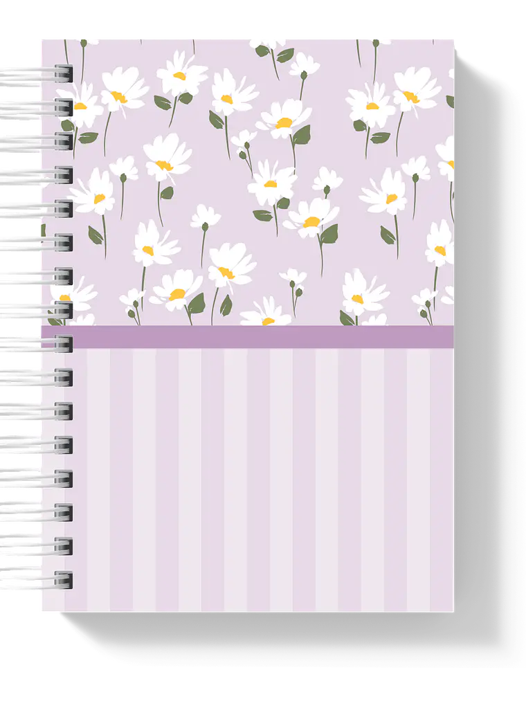 Planner de Estudo Duetto 4