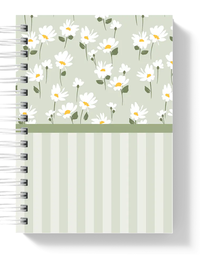 Planner de Estudo Duetto 3