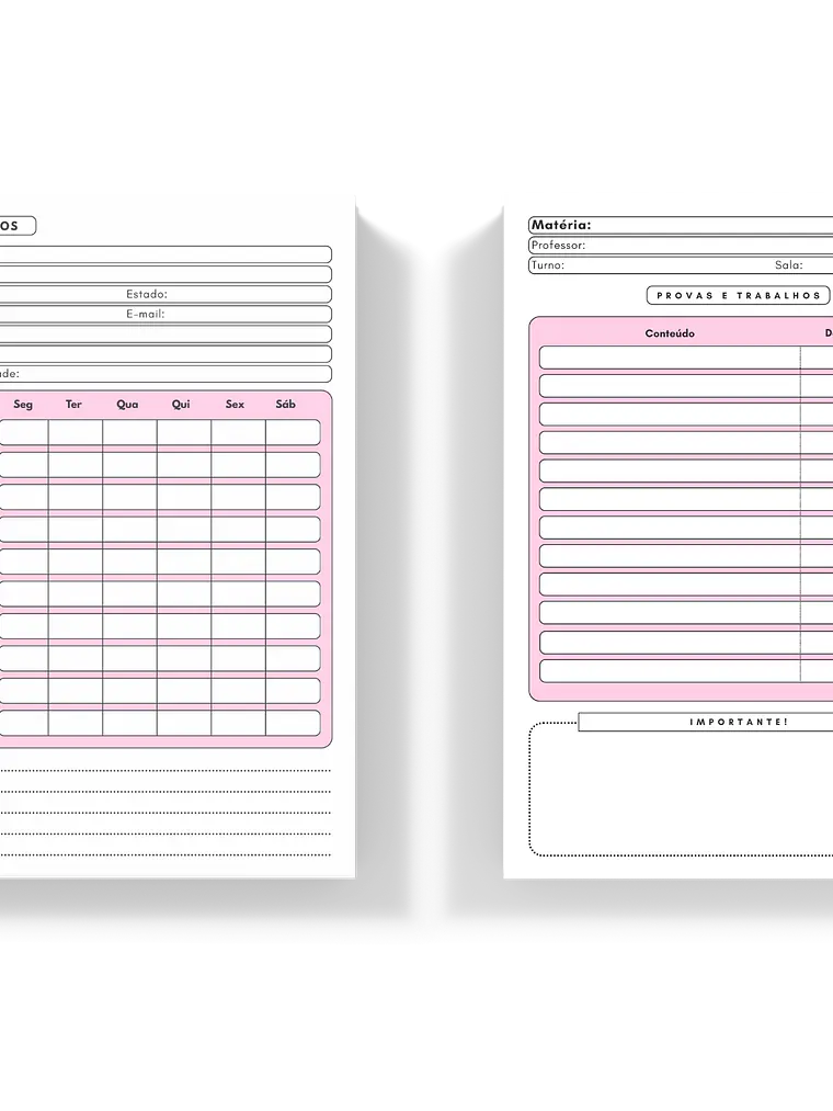 Caderno Escolar Limões 5