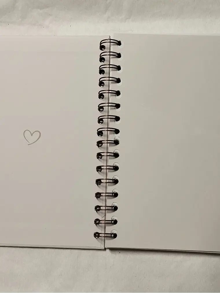 Planner Casamento básico 2