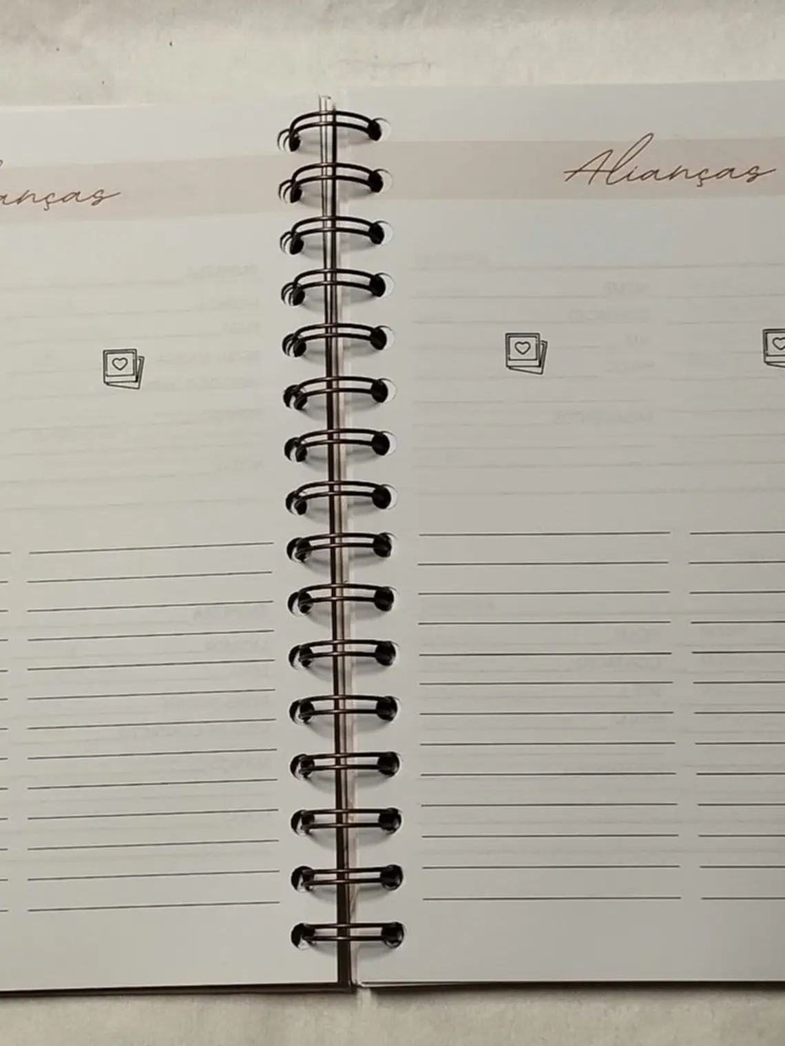 Planner Casamento básico 6