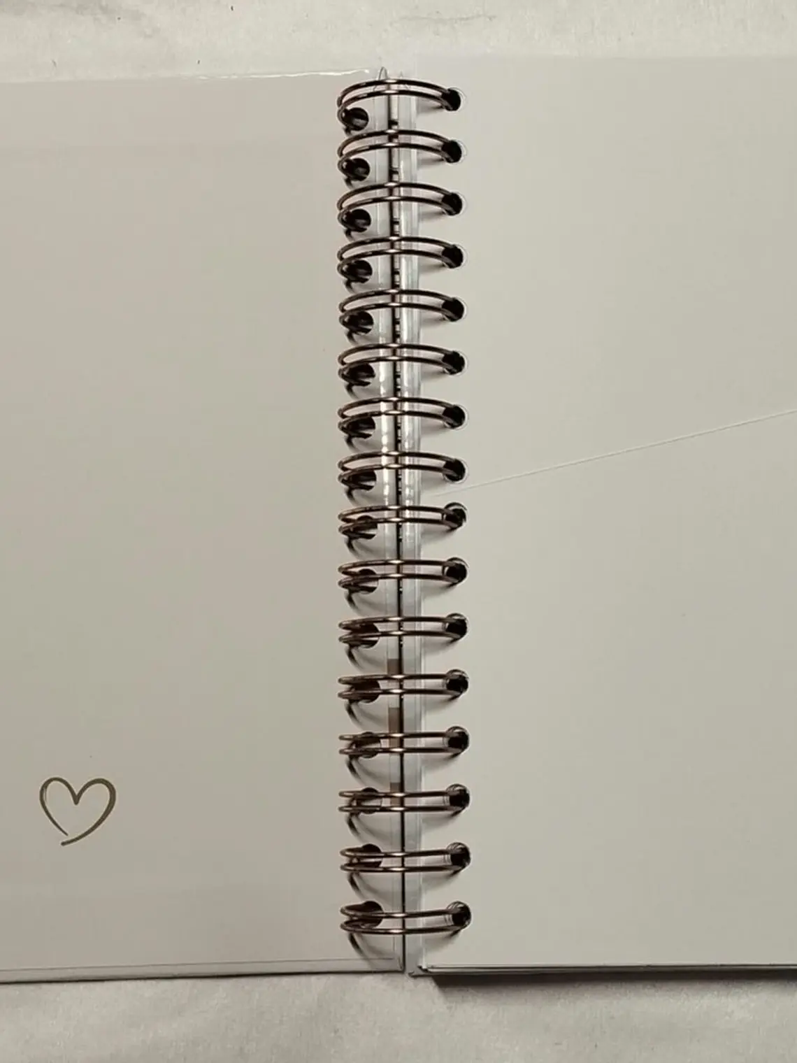 Planner Casamento Premium 2