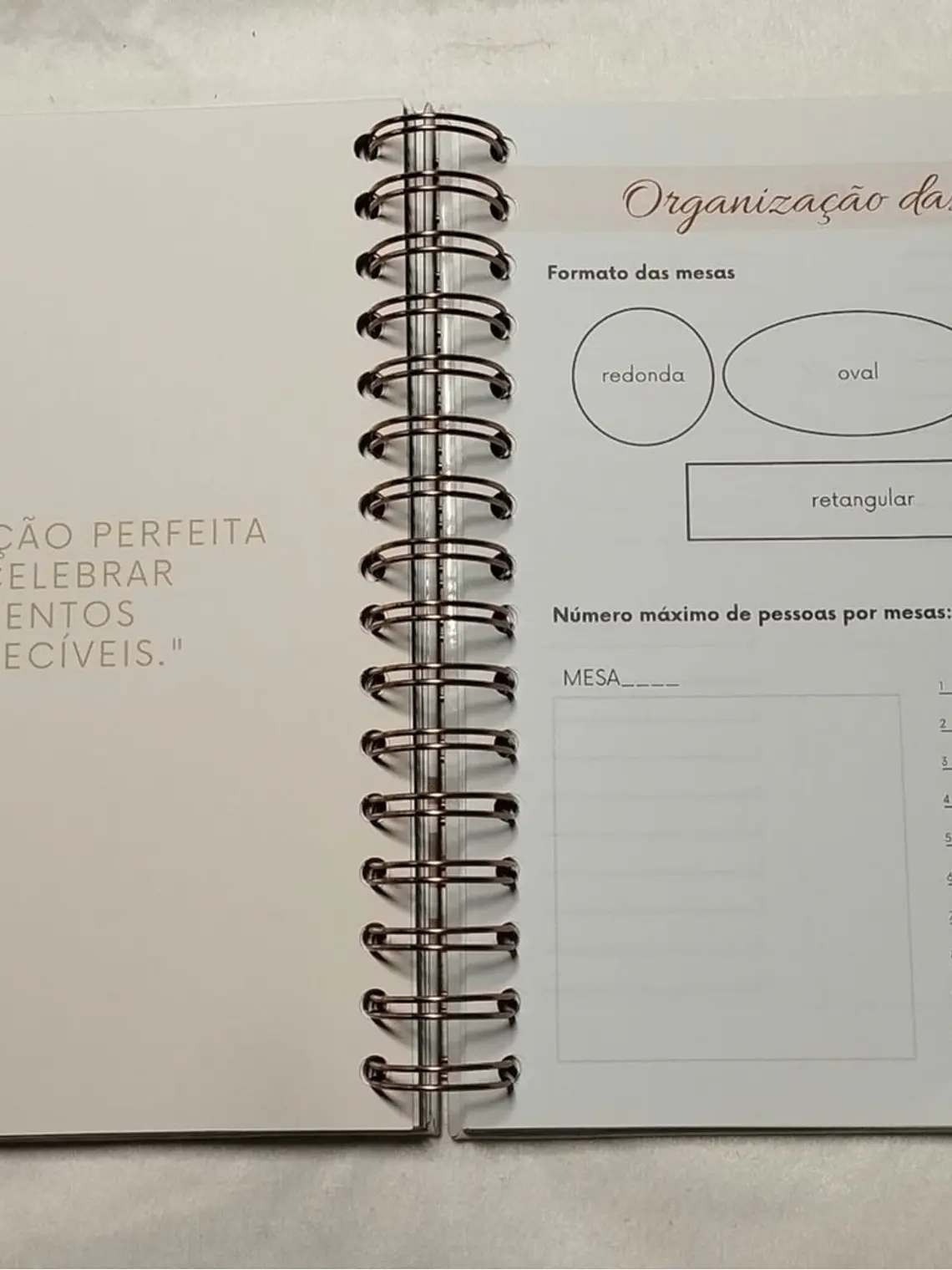 Planner Casamento Premium 14
