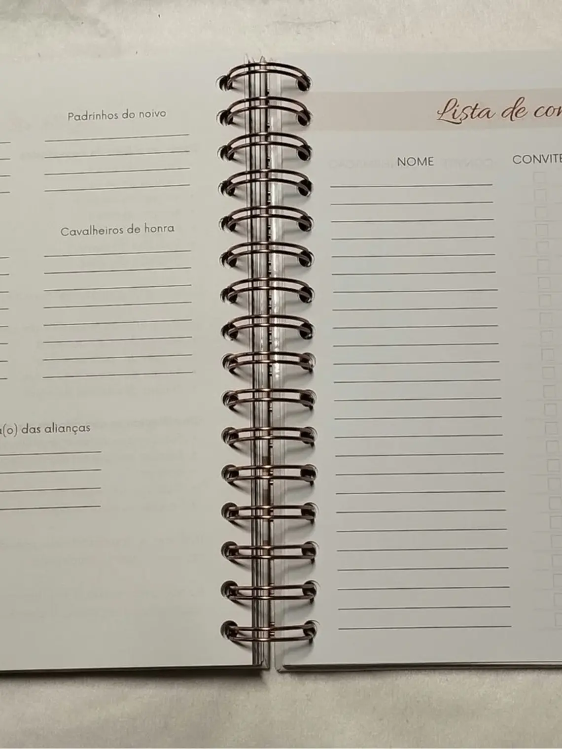 Planner Casamento Premium 18