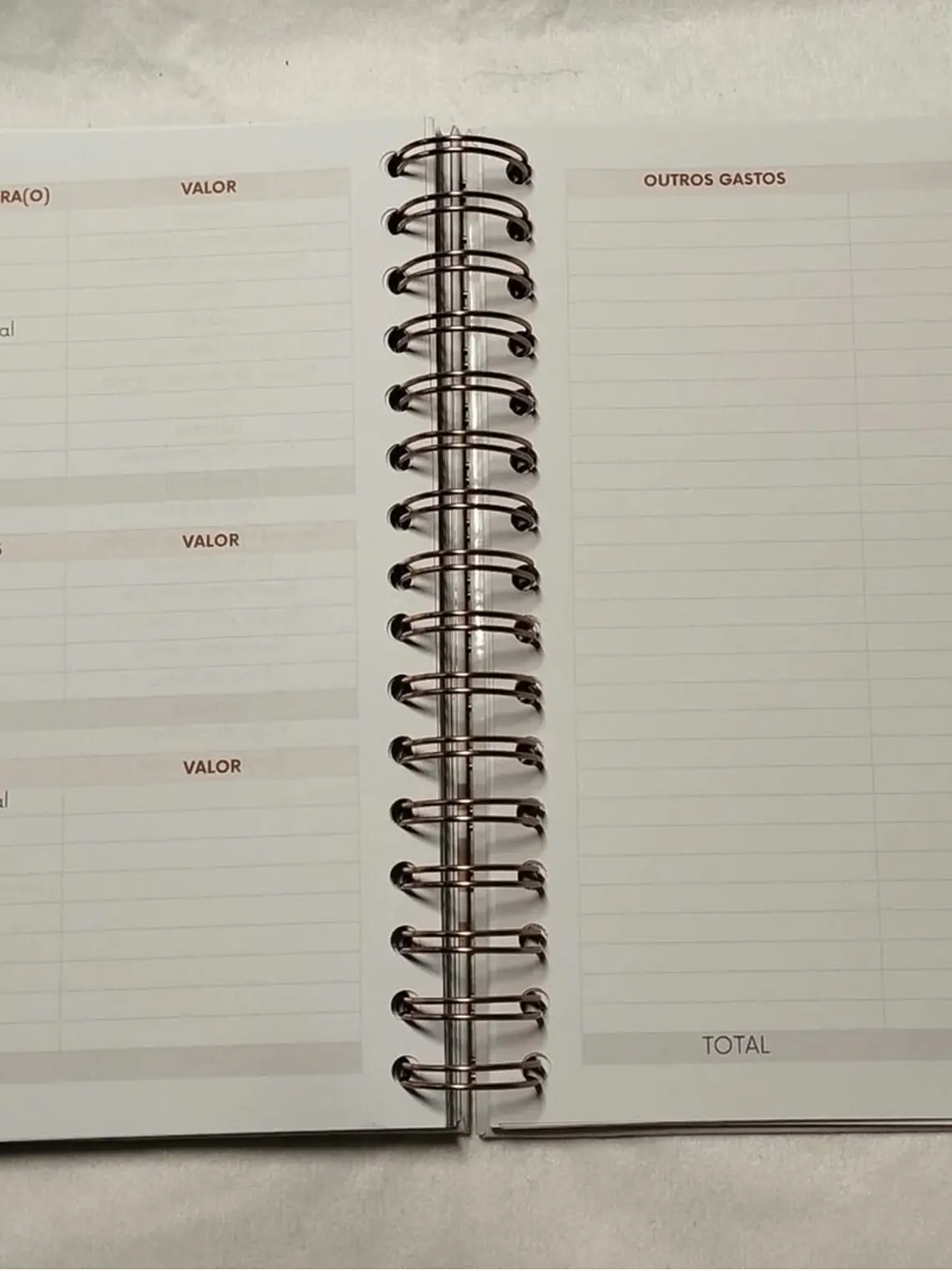Planner Casamento Premium 21