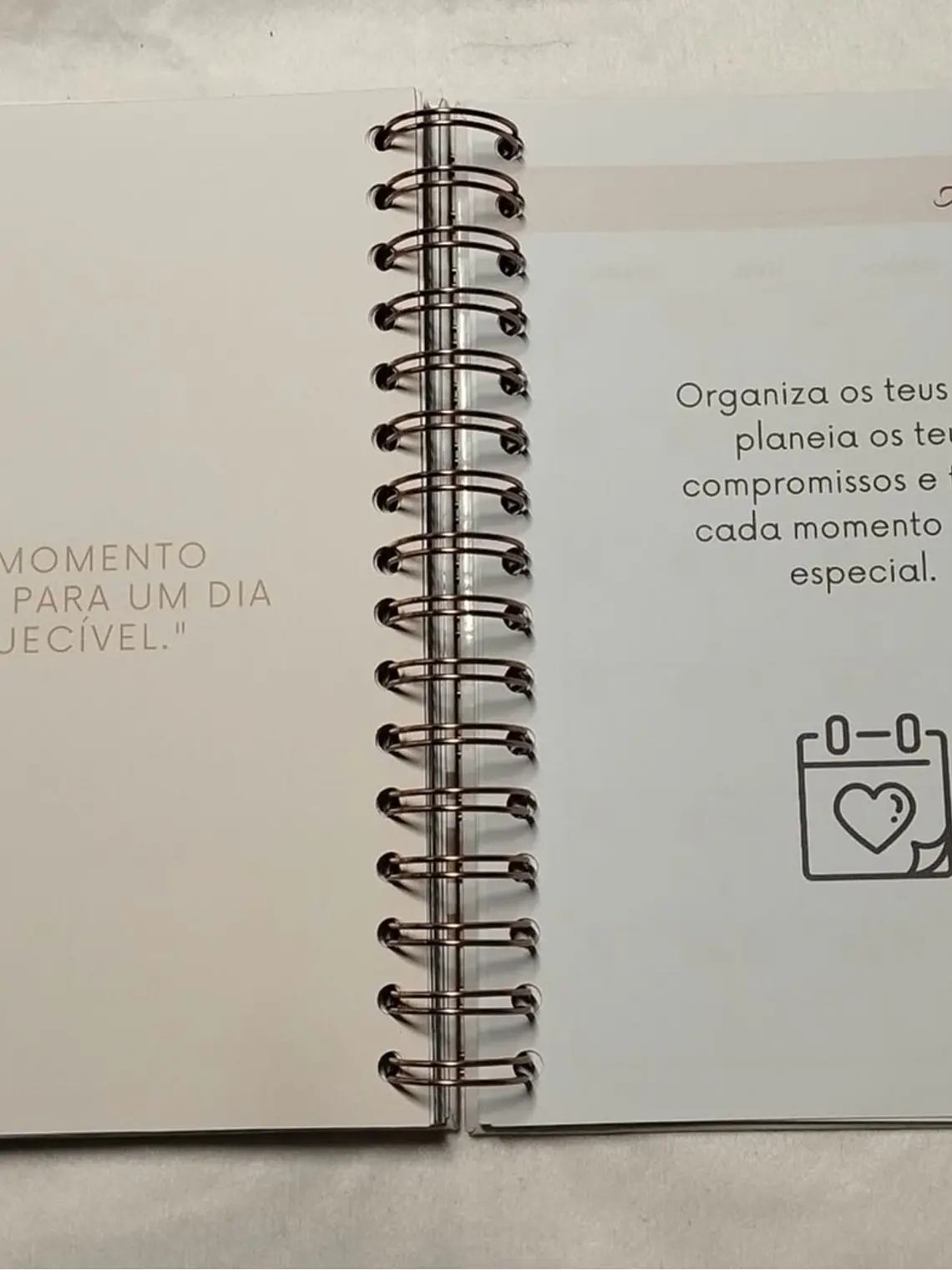 Planner Casamento Premium 22