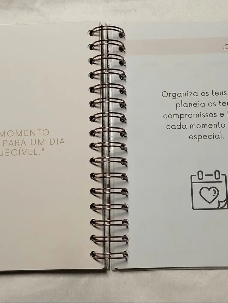 Planner Casamento Premium 22
