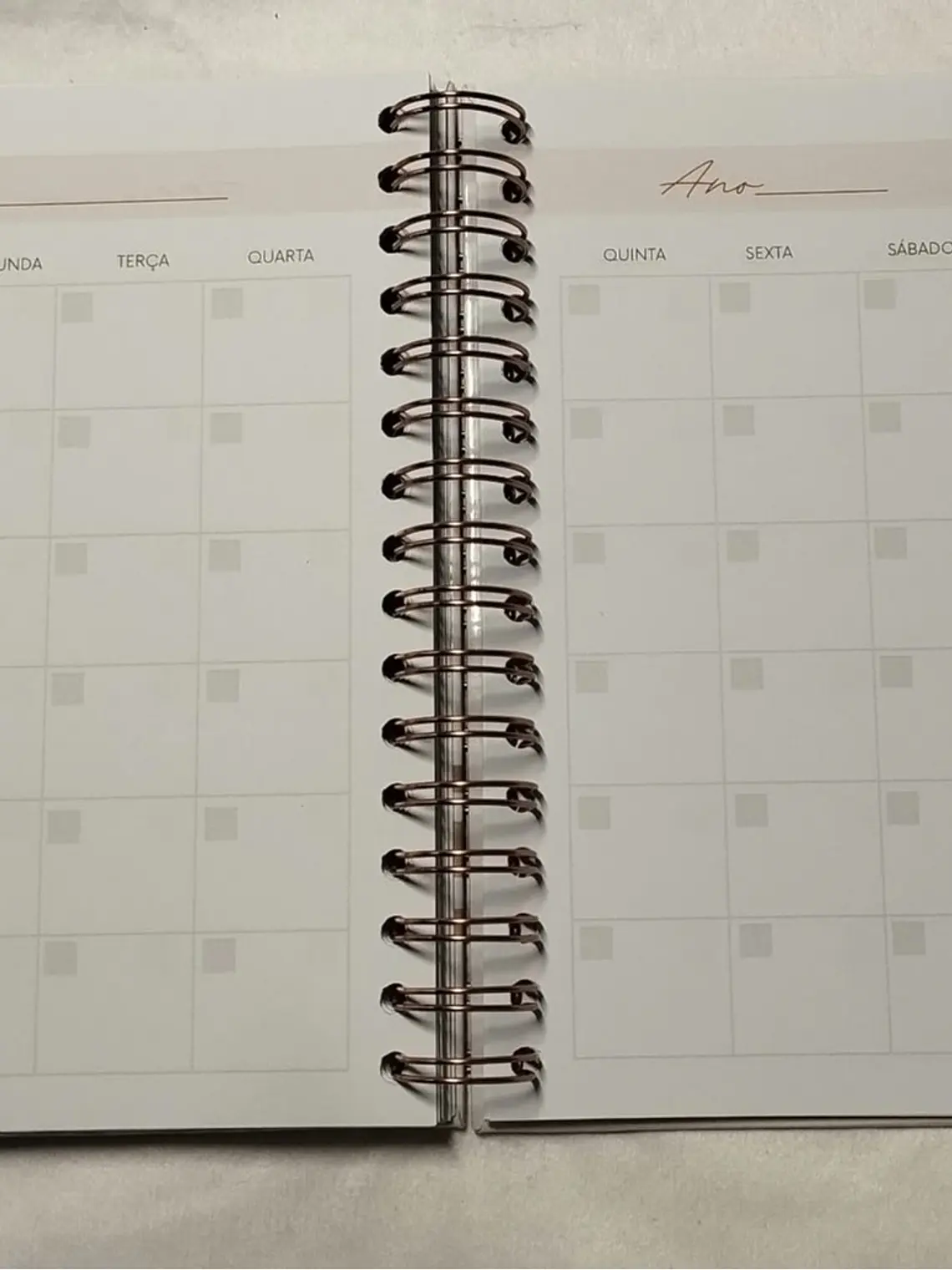 Planner Casamento Premium 23