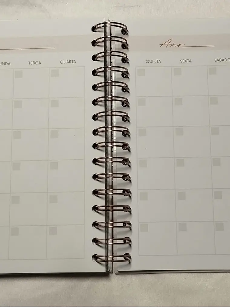 Planner Casamento Premium 23