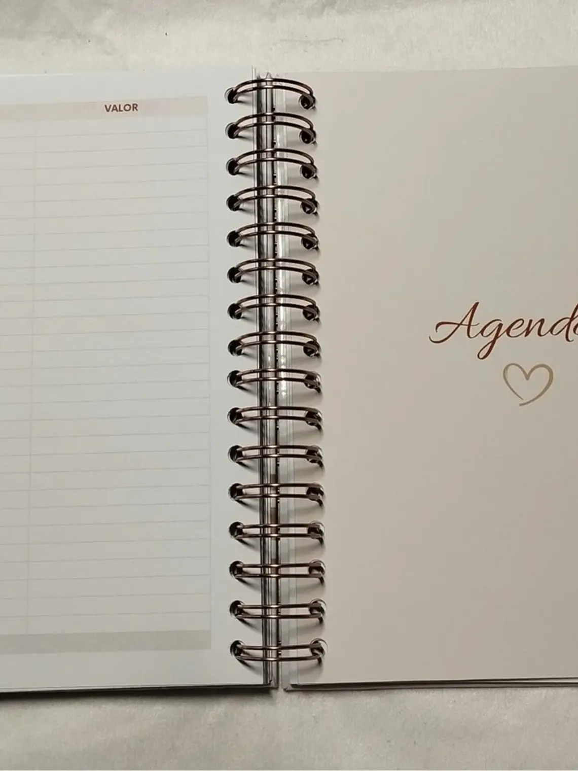 Planner Casamento Premium 25