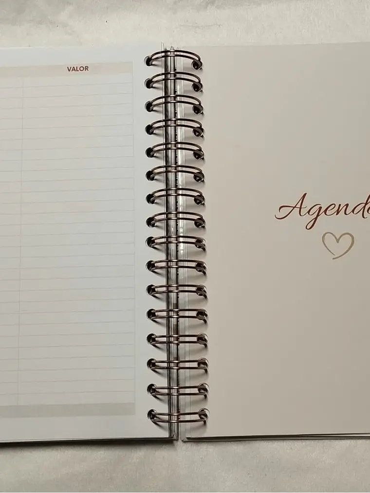 Planner Casamento Premium 25