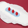 Ciclo Menstrual pela Ayurveda