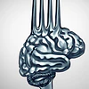 Culinária funcional e nutraceutica