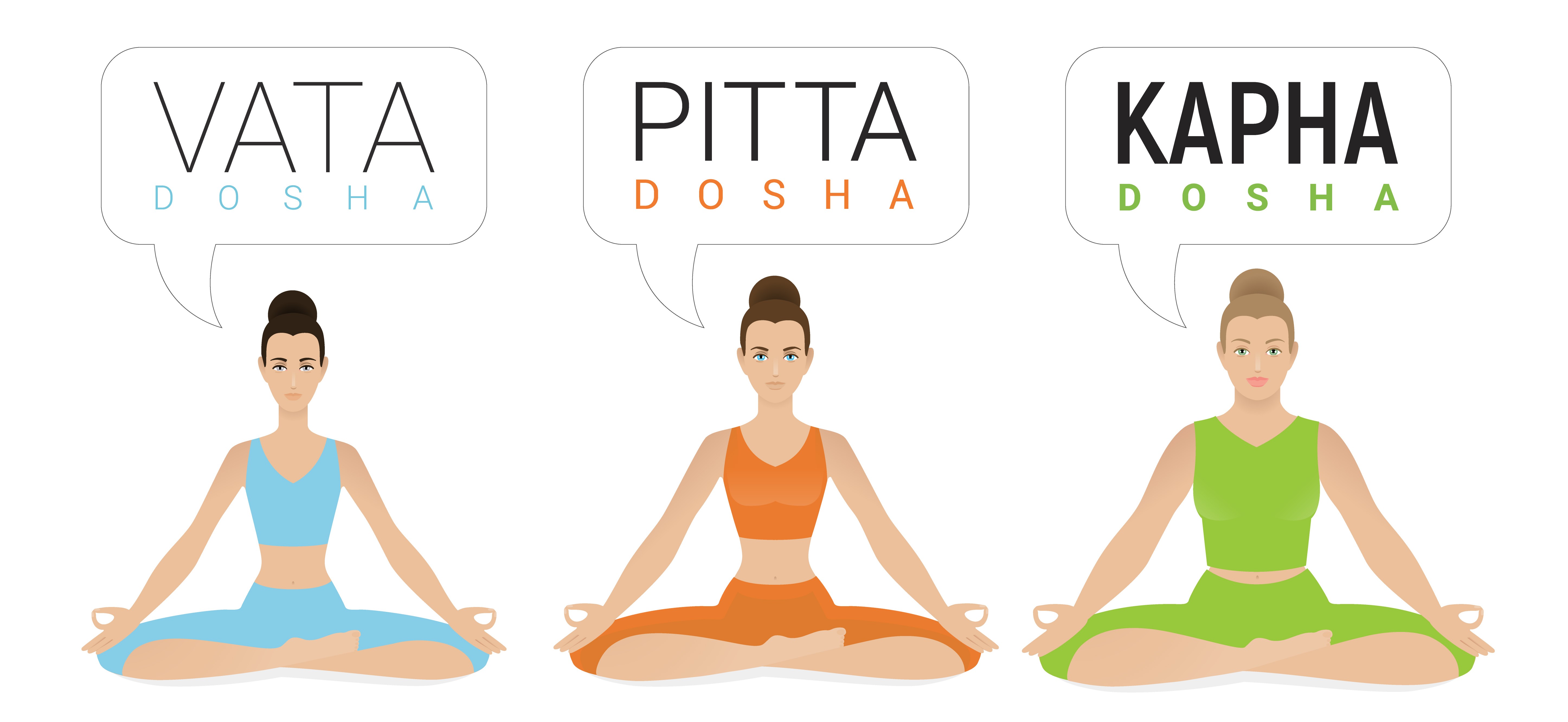Ayurveda o livro de instruções do ser humano