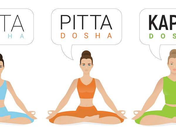 Ayurveda o livro de instruções do ser humano