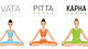 Ayurveda o livro de instruções do ser humano