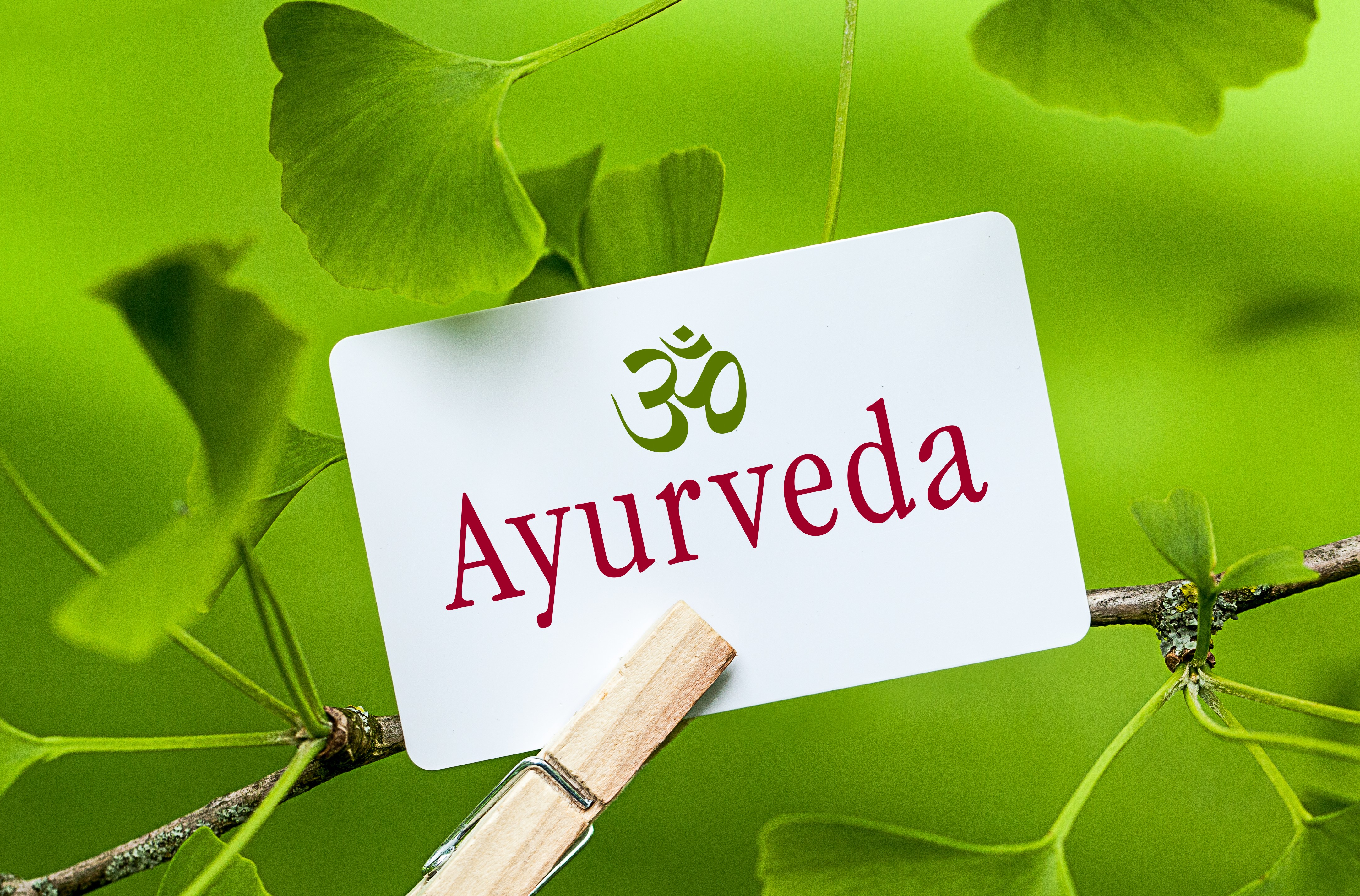 Ayurveda ciência da longevidade