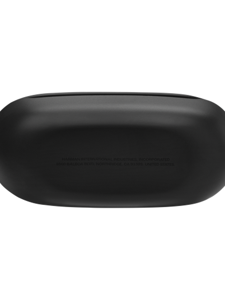 JBL Endurance Race 2 4