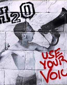 H2O · Use Your Voice CD