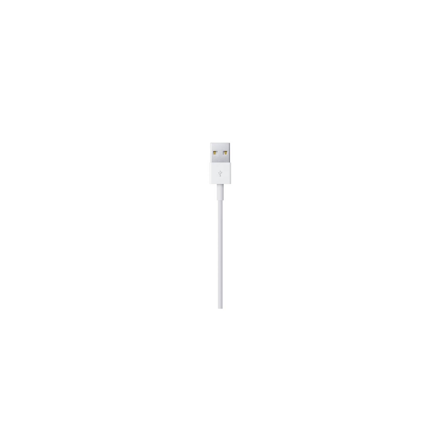 Cable Usb-C A Lightning Apple 1.0 Metro