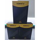 3 x YOKATV IPX1 V2 (70.00€/UND) 1