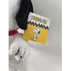 Peluche Snoopy Soft 30cm 11