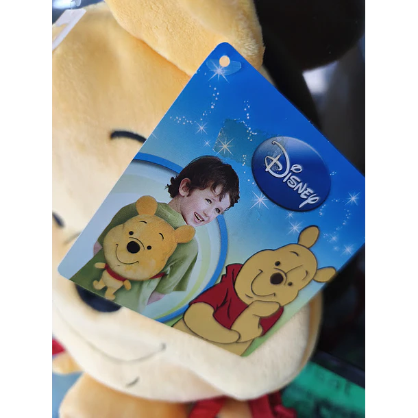 Mochila de Peluche Winnie the pooh 40/24cm 5