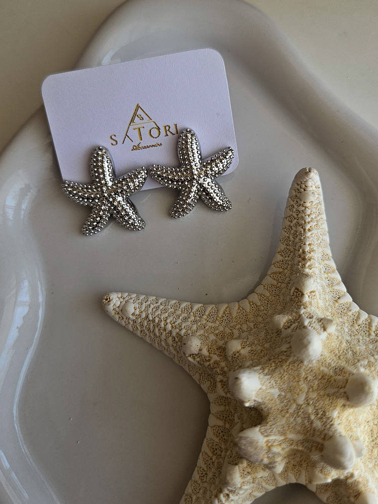 Aros Marinar Silver  1