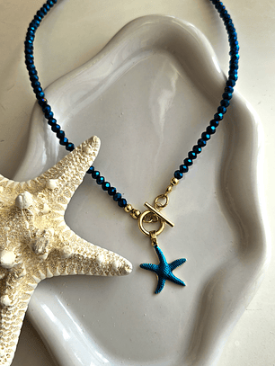 Collar Florianópolis