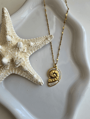 Collar concha y nácar