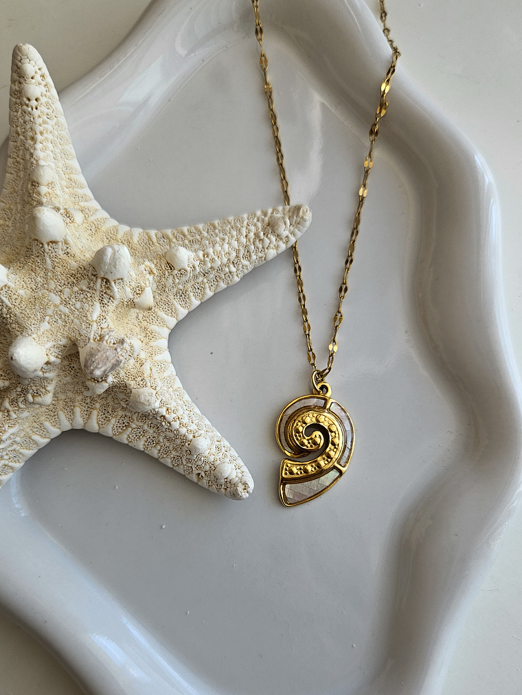 Collar concha y nácar 1