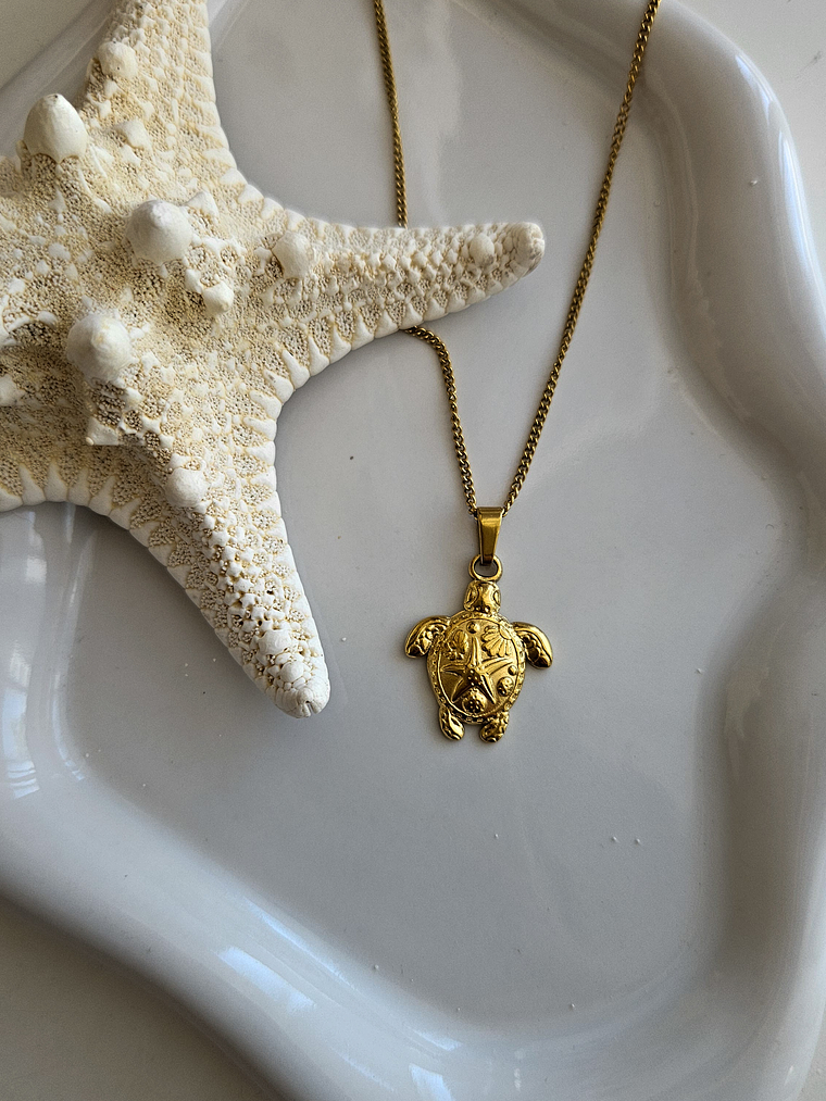 Collar tortuga marina gold 1