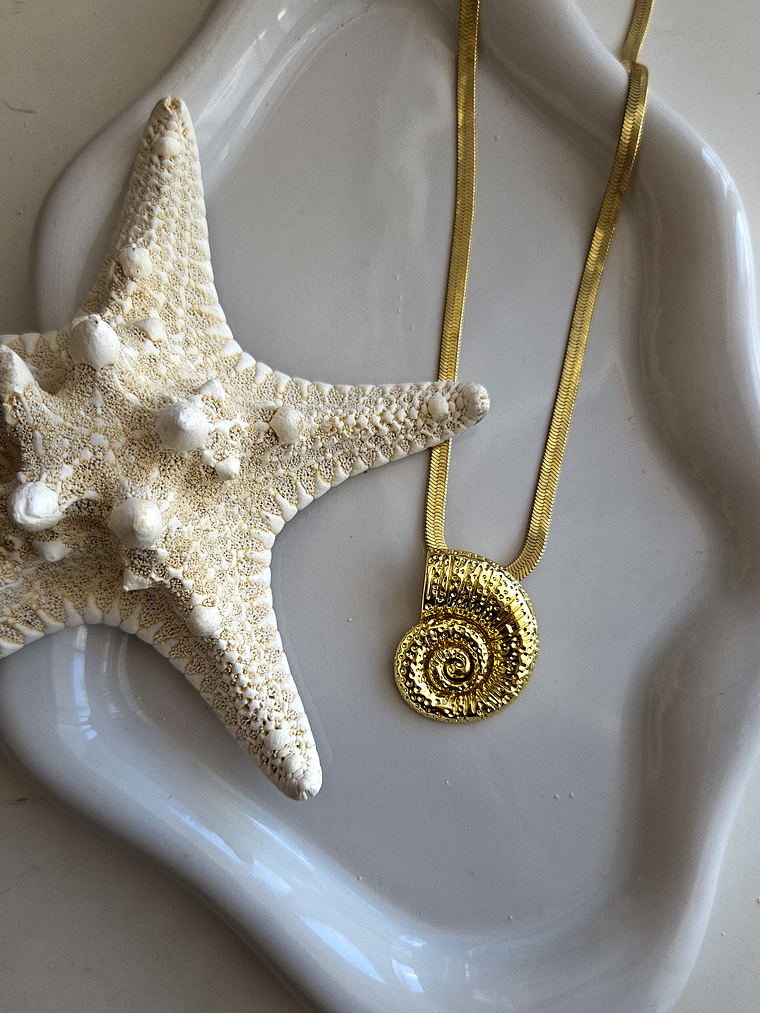 Collar cinta caracol 1