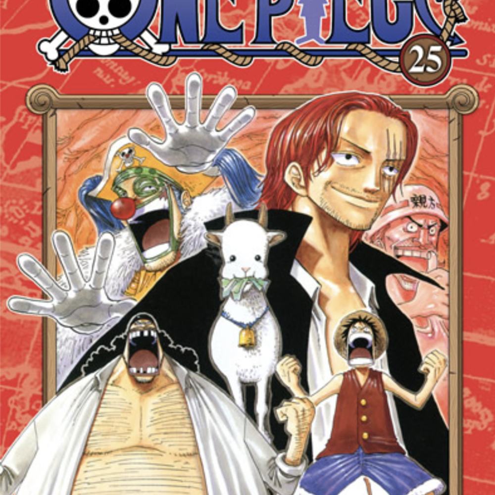 One Piece 25