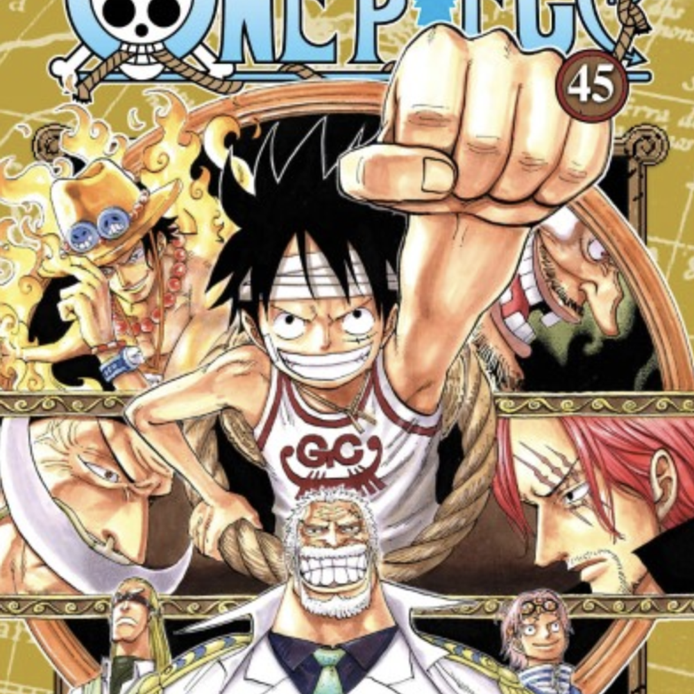 One Piece 45