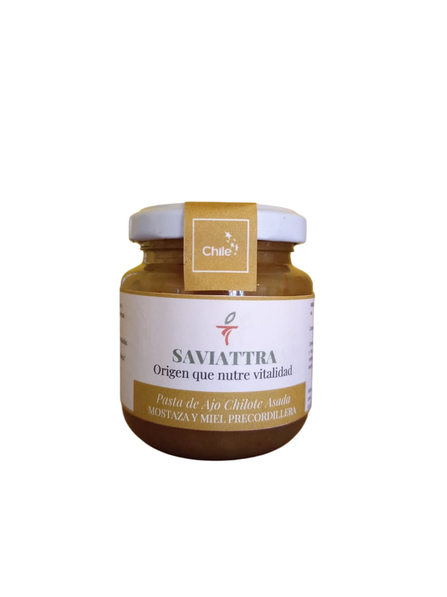 PASTA DE AJO CHILOTE MOSTAZA Y MIEL (140 g) 1