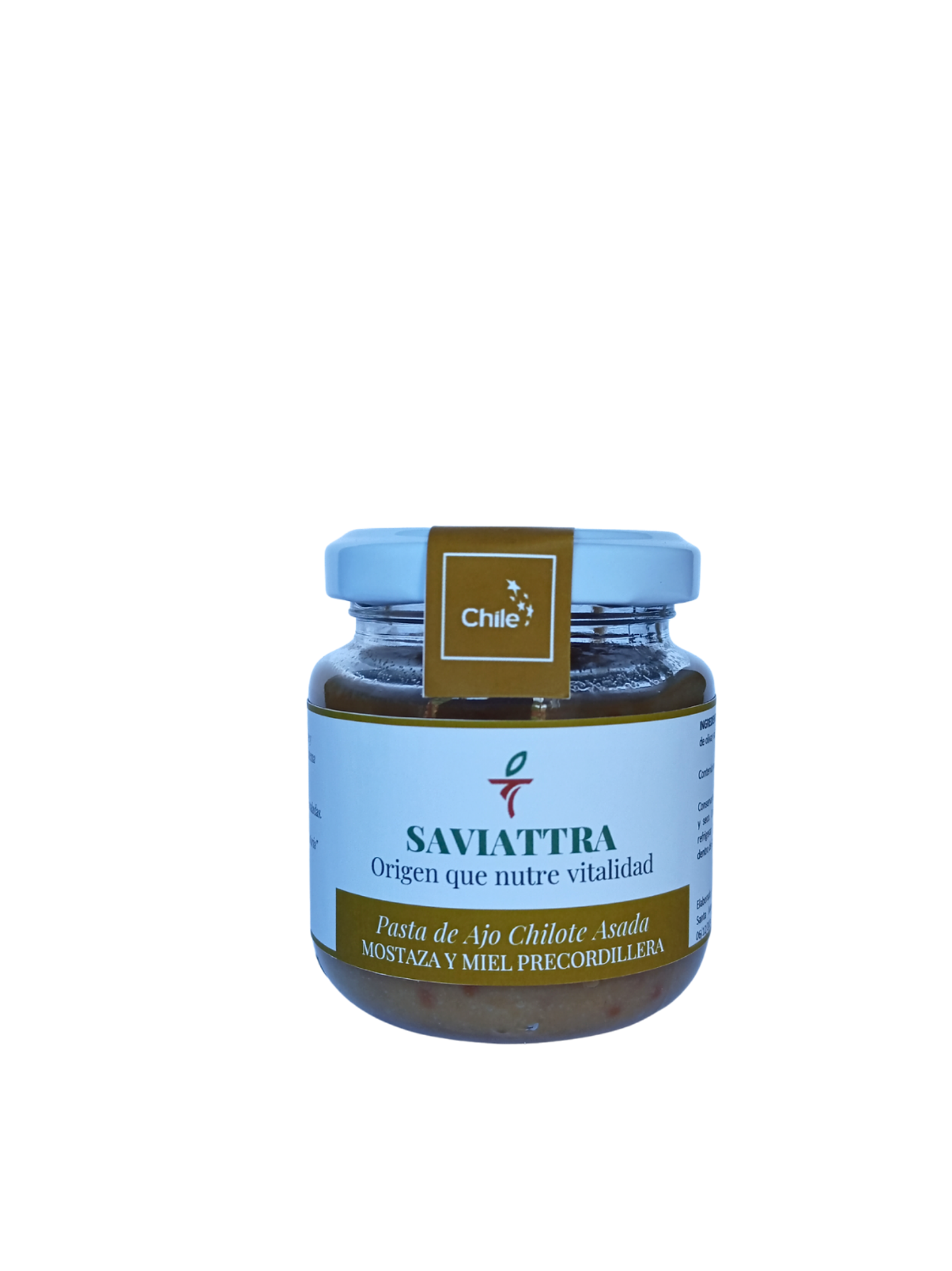 AGOTADA **** PASTA DE AJO CHILOTE ASADA CON MOSTAZA Y MIEL PRECORDILLERANA (140 g) 1