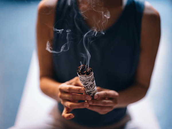 CAP 1. Cómo usar los productos Savitri